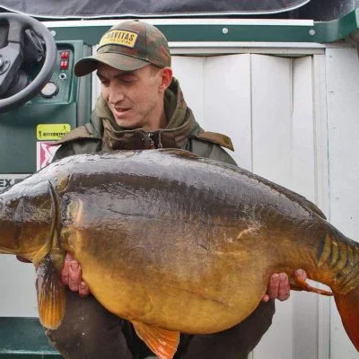 ons-team-dennis-plessers-consultant ons-team-dennis-plessers-consultant