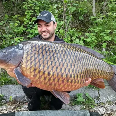 ons-team-kris-simons-teamleider-belgie ons-team-kris-simons-teamleider-belgie